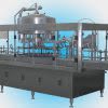 Bottle Rinsing and Filling Machine